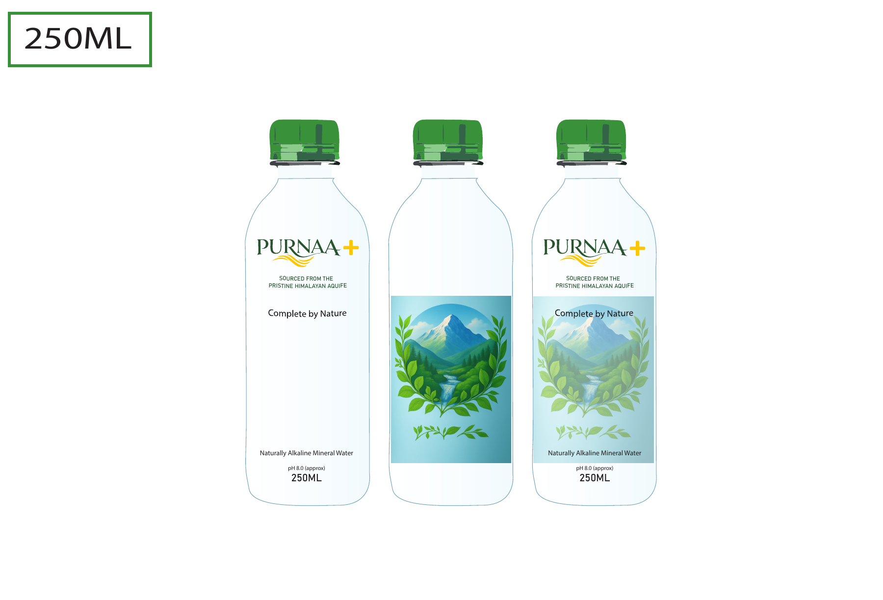 Final Purnaa+ Natural Mineral Water 250 mL bottle artwork