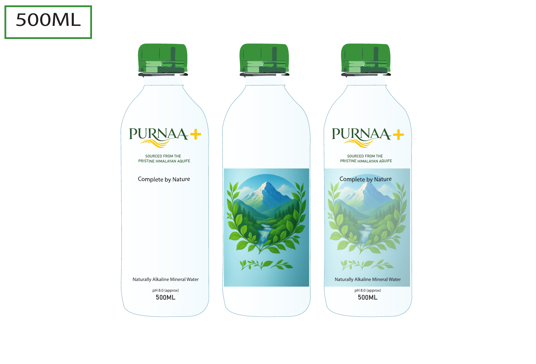 Final Purnaa+ Natural Mineral Water 500 mL bottle artwork